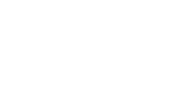 GEODETICCA VISION